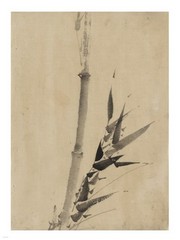 Banboo Ink Painting - Art Print | Poster Prints from Posterazzi