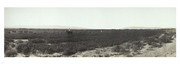Alfalfa fields, Pre City Las Vegas, Nevada - Art Print | Poster Prints from Posterazzi