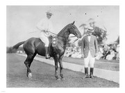 ARMY POLO - Art Print | Poster Prints from Posterazzi