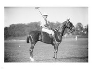Capt Thomas Polo - Art Print | Poster Prints from Posterazzi