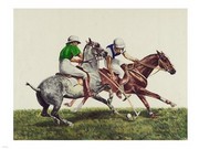 Polo - Art Print | Poster Prints from Posterazzi