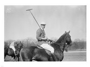 Polo - Art Print | Poster Prints from Posterazzi