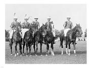 POLOARMY POLO - Art Print | Poster Prints from Posterazzi