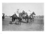 Polo Brown Lieut Palmes - Art Print | Poster Prints from Posterazzi