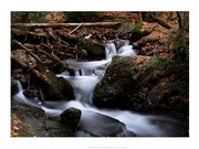 Autumn at Mt. Tammany - Art Print by Sturcke | Poster Prints from Posterazzi