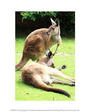 Two Kangaroos 8.00 x 10.00 Poster Print