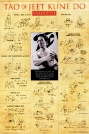 Bruce Lee - Teachings - Art Print | Movie Poster Prints from Posterazzi
