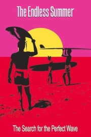 Endless Summer - Art Print | Movie Poster Prints from Posterazzi
