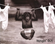 Hangin Out - Art Print | Movie Poster Prints from Posterazzi