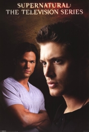 Supernatural - Dean & Sam - Art Print | Movie Poster Prints from Posterazzi