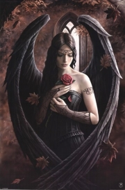 Angel Rose - Art Print by Anne Stokes | Movie Poster Prints from Posterazzi