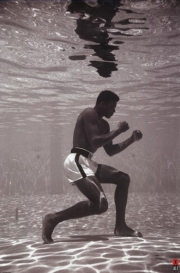 Ali - Underwater - Art Print | Movie Poster Prints from Posterazzi