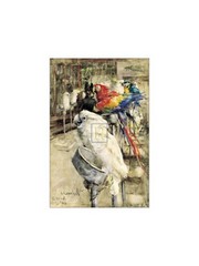 Aviary Clinton - Art Print by J. Crawhall | Movie Poster Prints from Posterazzi