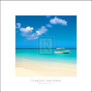 Anonymous - Tropical Horizons II Size 12x12 - Art Print | Movie Poster Prints from Posterazzi