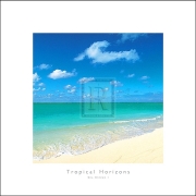 Anonymous - Tropical Horizons III Size 12x12 - Art Print | Movie Poster Prints from Posterazzi