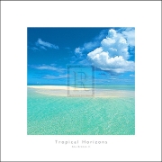 Anonymous - Tropical Horizons IV Size 12x12 - Art Print | Movie Poster Prints from Posterazzi