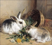 Bunnies' Meal II - Art Print by Alfred Barber | Movie Poster Prints from Posterazzi