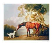 Bay Horse and White Dog - Art Print by George Stubbs | Movie Poster Prints from Posterazzi