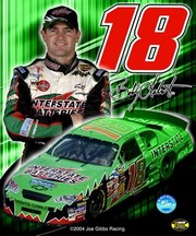 "2005 Bobby Labonte collage- car, number, driver and signature" - Art Print | Movie Poster Prints from Posterazzi