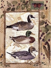 3 Ducks - Art Print by Anita Phillips | Movie Poster Prints from Posterazzi