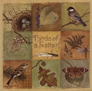 Birds of a Feather - Art Print by Anita Phillips | Movie Poster Prints from Posterazzi