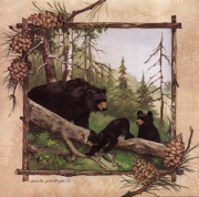 Black Bears IV - Art Print by Anita Phillips | Movie Poster Prints from Posterazzi