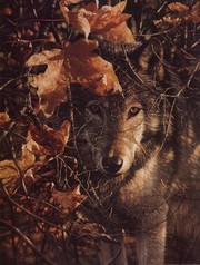Autumn Eyes - Art Print by Collin Bogle | Movie Poster Prints from Posterazzi