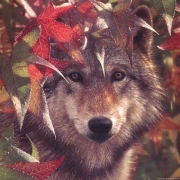 Autumn Encounter - Art Print by Collin Bogle | Poster Prints from Posterazzi