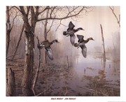 Backwater - Art Print by Jim Hansel | Movie Poster Prints from Posterazzi