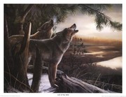 Call of the Wild - Art Print by Kevin Daniel | Movie Poster Prints from Posterazzi