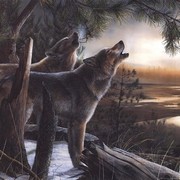 Call Of The Wild - Art Print by Kevin Daniel | Movie Poster Prints from Posterazzi