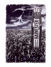 Board Time - Art Print by sam maxwell | Poster Prints from Posterazzi