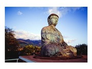 Bronze Buddhas Statue, Jodo Mission, Lahaina, Maui, Hawaii, USA - Art Print | Poster Prints from Posterazzi