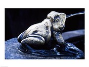Canada, British Columbia,  Butchart Gardens, sculpture frog, fountain - Art Print | Poster Prints from Posterazzi