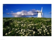 Ballycopeland Windmill, Millisle, Northern Ireland - Art Print | Poster Prints from Posterazzi