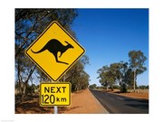 Kangaroo crossing sign Poster Print