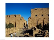 Avenue of Sphinxes Poster Print