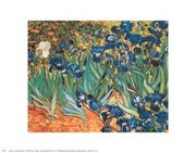 Iris Garden - Art Print by Vincent Van Gogh | Movie Poster Prints from Posterazzi