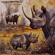 Safari I - Art Print by Gary Blackwell | Movie Poster Prints from Posterazzi