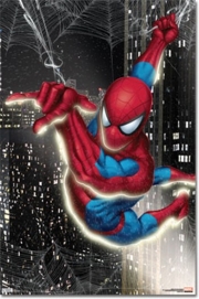 Spider-man - Glow in the Dark - Art Print | Movie Poster Prints from Posterazzi