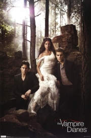 Vampire Diaries - Group - Art Print | Movie Poster Prints from Posterazzi