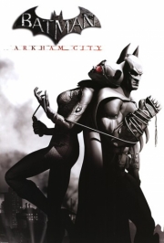 Arkham City - Catwoman - Art Print | Poster Prints from Posterazzi