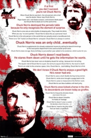 Chuck Norris - The Best - Art Print | Movie Poster Prints from Posterazzi