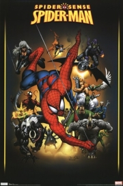 Spider-Man - Adversaries - Art Print | Movie Poster Prints from Posterazzi