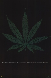 Pot Leaf - Street Terms - Art Print | Movie Poster Prints from Posterazzi