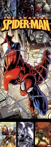 Spiderman - Web (door) - Art Print | Movie Poster Prints from Posterazzi