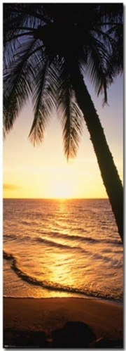 Door - Caribbean Sunset - Art Print | Movie Poster Prints from Posterazzi