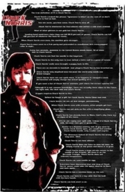 Chuck Norris - Fact List 3 - Art Print | Movie Poster Prints from Posterazzi