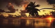 "Aitutaki Lagoon, Cook Islands" - Art Print by  Hendrie | Movie Poster Prints from Posterazzi