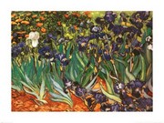 "Irises in the Garden, Saint-Remy, c.1889" - Art Print by Vincent Van Gogh | Movie Poster Prints from Posterazzi
